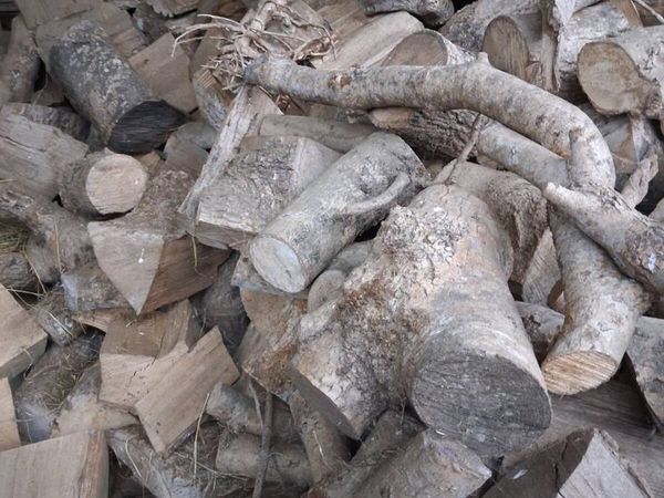 Firewood - Main image