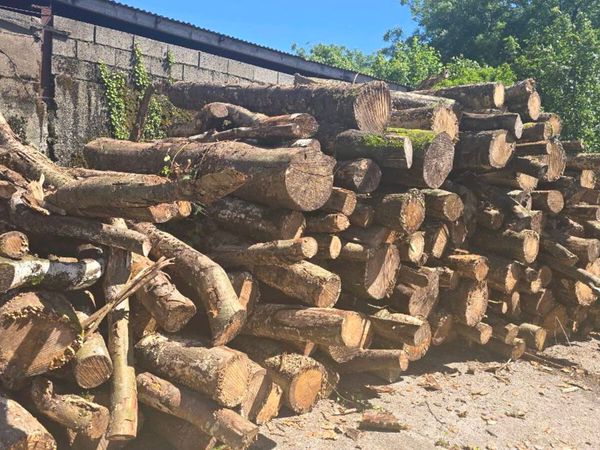 Hardwood firewood for sauna - Main image