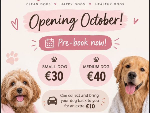 Dog grooming - Main image
