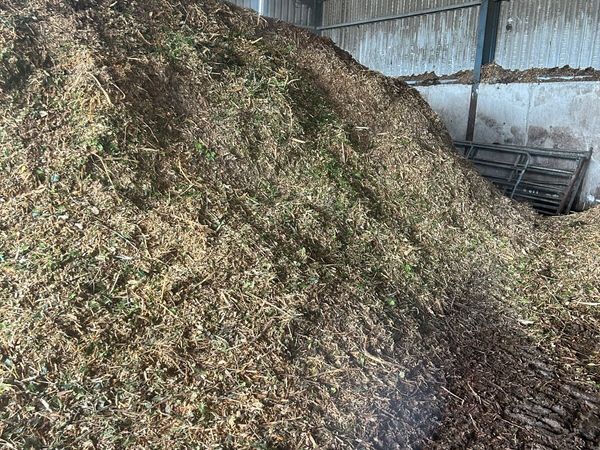 Woodchip - Main image