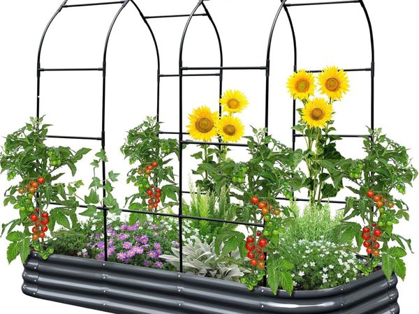 Galvanized Metal Raised Garden Bed with Trellis - Main image