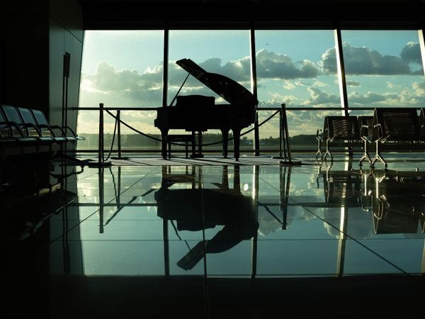 Piano Tuning, Servicing, Regulation, Voicing - Main image