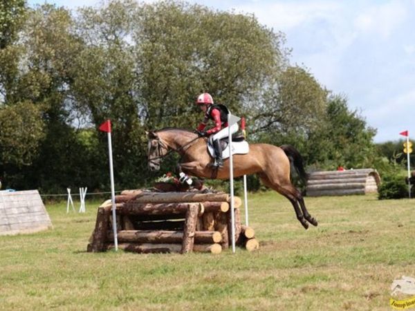Show Jumper All Rounder 148 Pony 1.10m - Main image