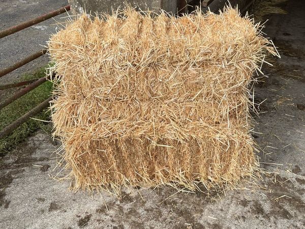 Small square straw bales - Main image