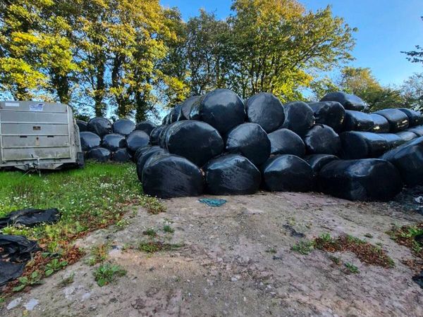 Silage bales - Main image