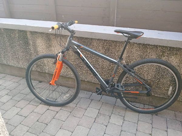 Adult  bike - Main image