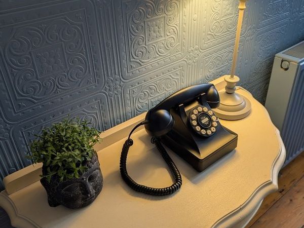 Wild & Wolf 302 Desk Phone (Vintage Style Landline) - Main image