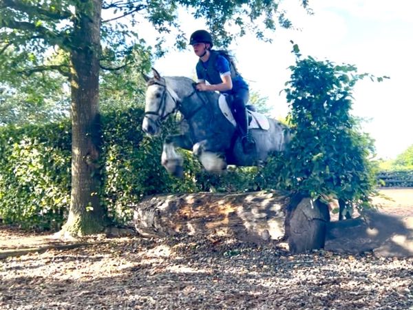 Super Cob - Main image