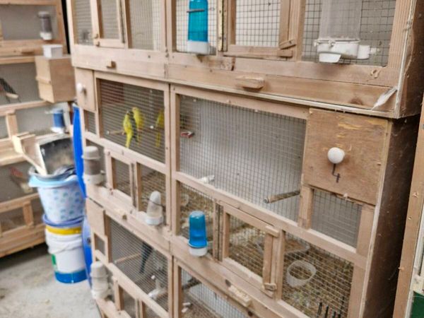 Nice tidy Bird cage flights - Main image