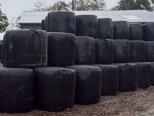 Haylage - Main image