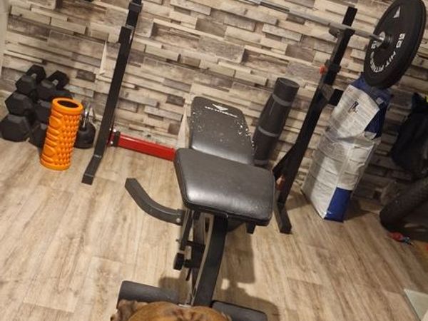 Barbell, dumbbells and others - Main image