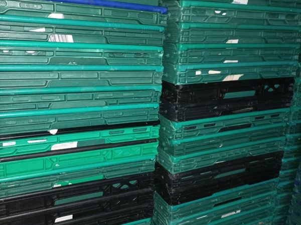 Plastic storage crates - Main image