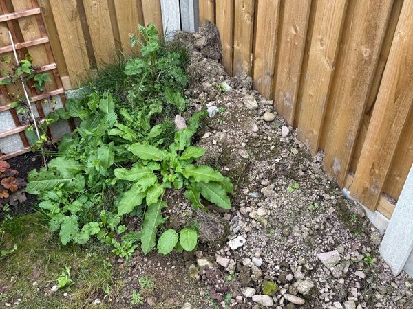 Topsoil for free - Main image