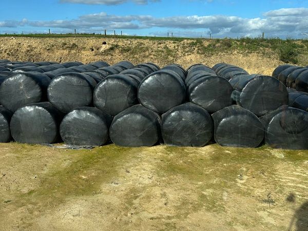 Silage for sale - Main image