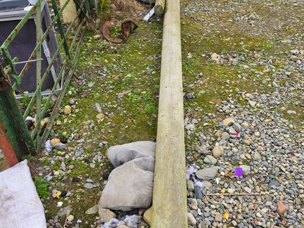 Esb poles..10 meter & 5 meter - Main image