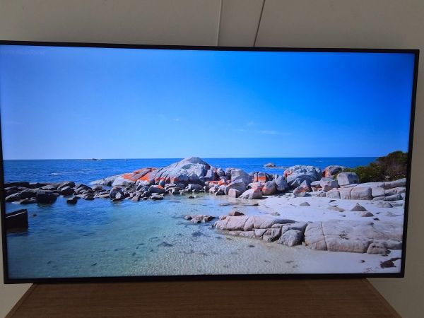 Panasonic 55" 4K Professional Display - Main image