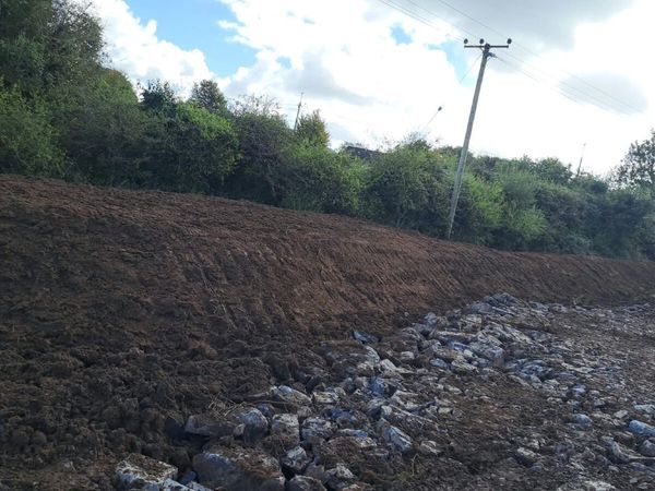 Top soil - Main image