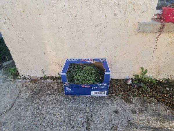Grass up for Grabs - Main image