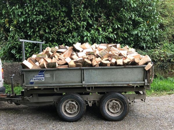 9x5 trailer load of Ash timber - Main image