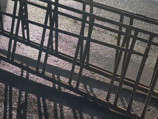 Sheep creep gates - Main image