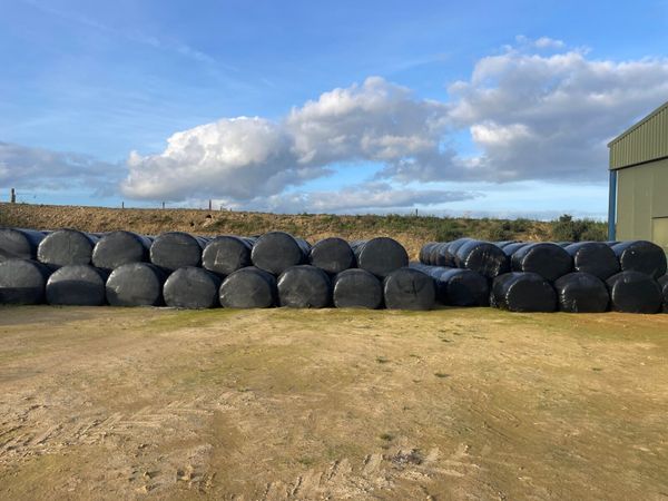 Silage - Main image