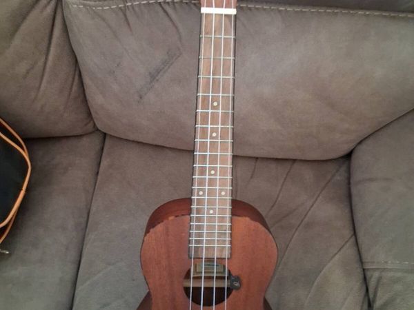 Ortega Concert ukulele - Main image
