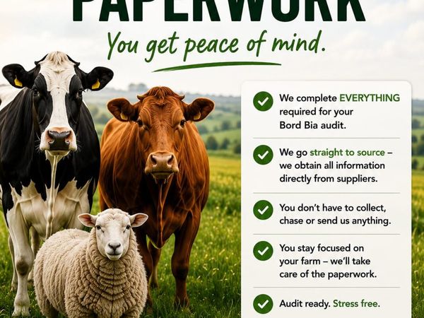 Bord Bia Audit Paperwork Prep-Dairy, Beef & Sheep - Main image