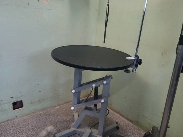 Small Hydrolic grooming table - Main image