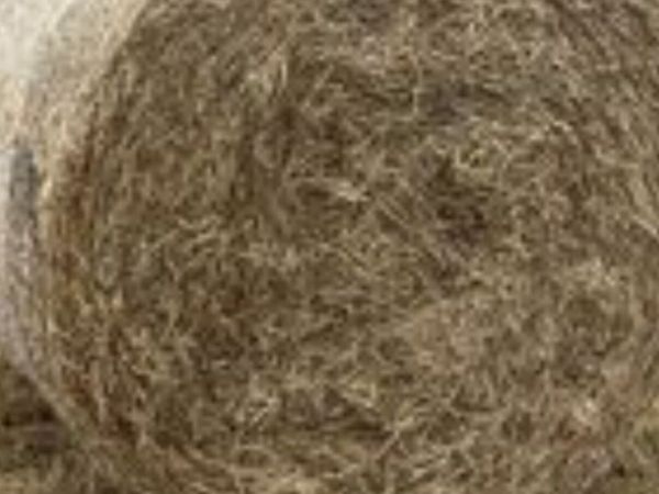 Round bales of Hay for Sale - Main image