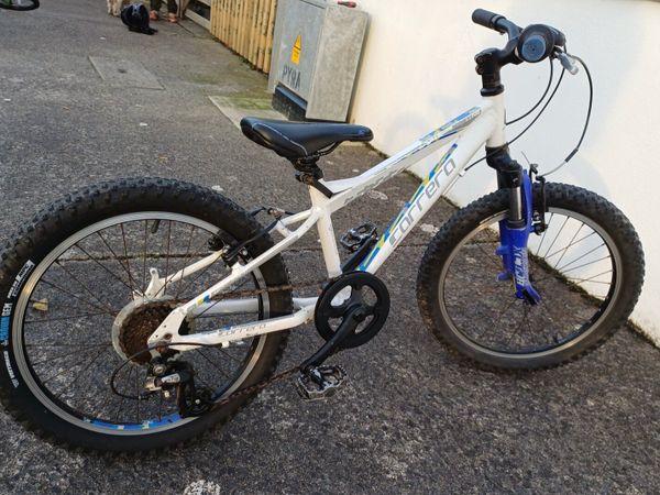 Carrera Luna 20 inch wheel MTB - Main image