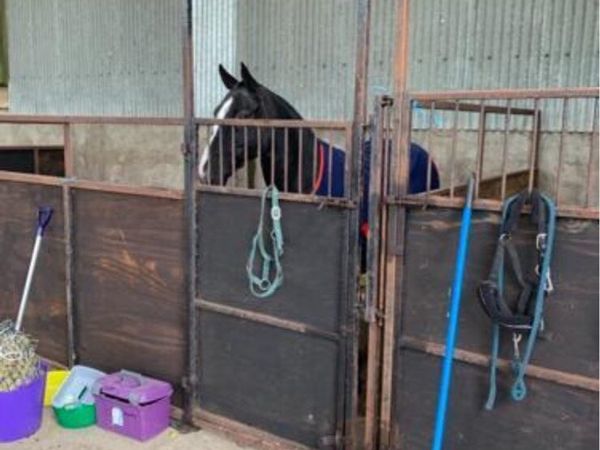 Internal Stables X 3 - Main image