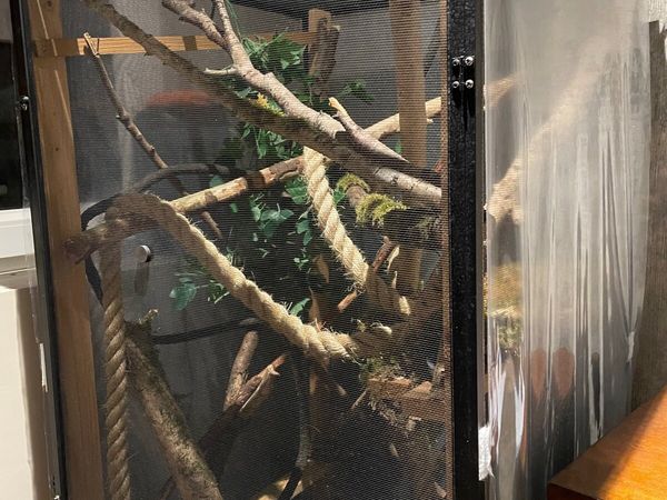 Reptile enclosure - Main image