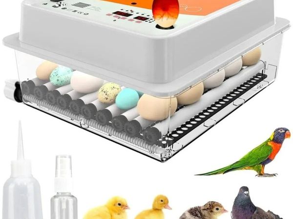 Automatic Egg Hatcher 36 Egg Poultry Incubator - Main image