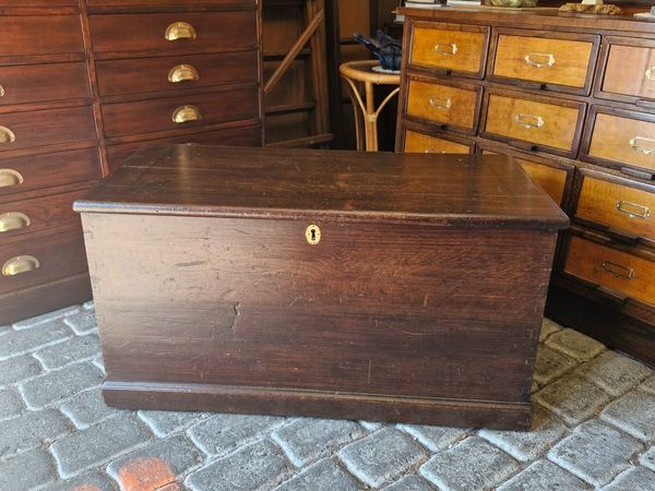 Trunk - Main image