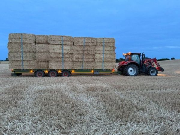 Straw - Main image