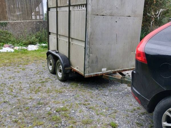 8 x 4.5 cattle trailer - Main image