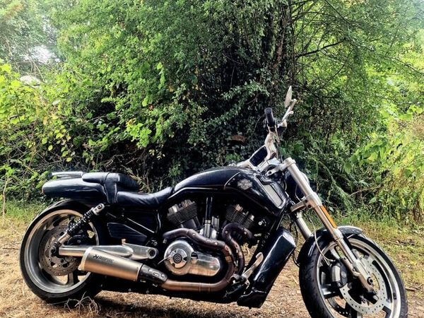 Harley-Davidson V Rod - Main image