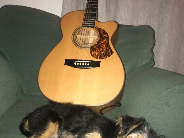 Maton EBG808C Michael Fix - Main image