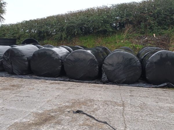 Silage bales - Main image