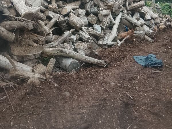 Free firewood to take away - Main image