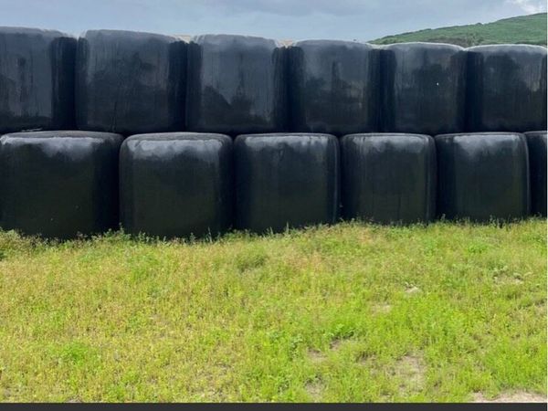 Round Bales - Main image