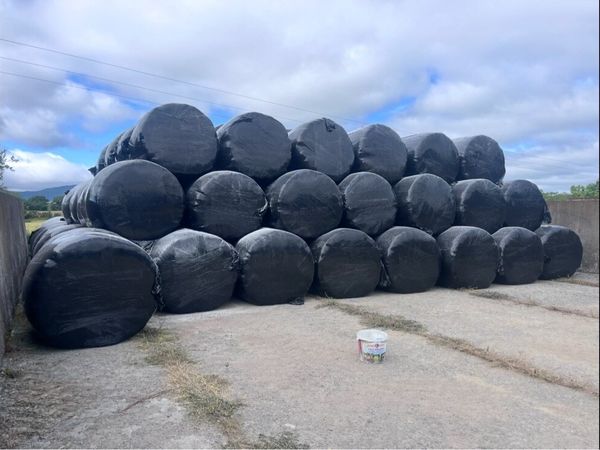 Silage bales - Main image
