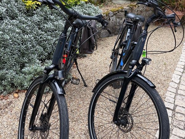 Matching Pair: 2 x Trek Verve+ 1 Lowstep Electric - Main image