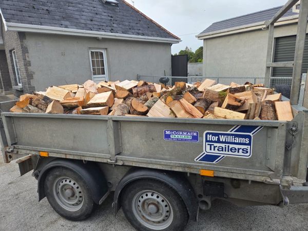 Bone Dry Ash Firewood - Main image