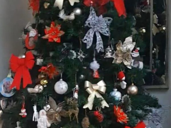 Christmas  tree🎄 - Main image