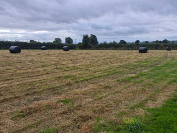 Baled second cut silage - Main image
