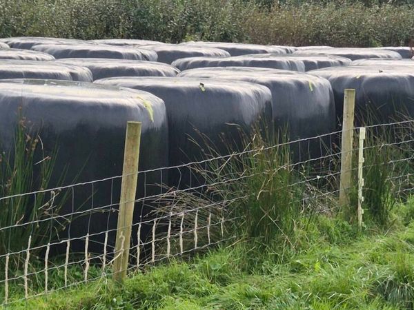 Silage Round Bales - Main image