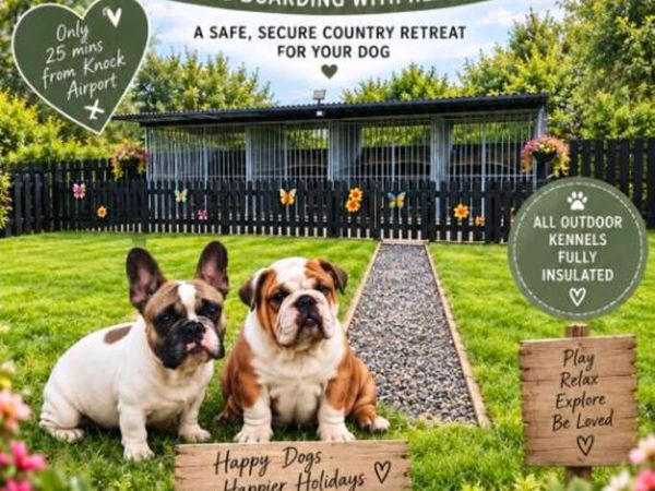 Dog boarding * Close to knock airport * - Main image