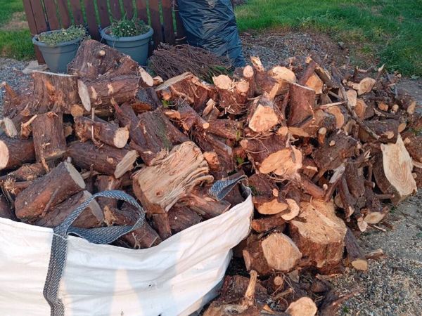 Timber - Main image