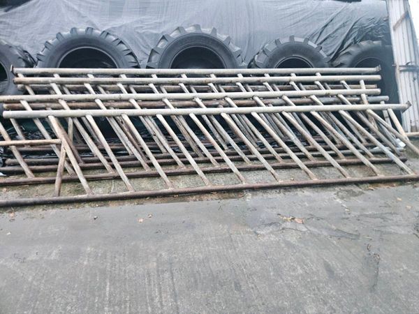Feeding Barriers - Main image